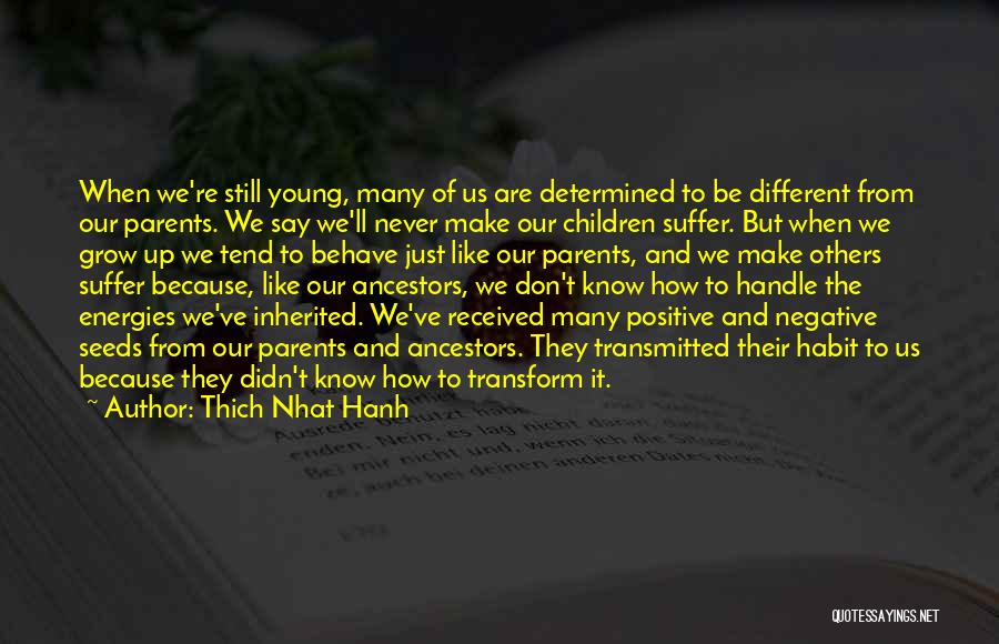 Gliding Frogs Quotes By Thich Nhat Hanh