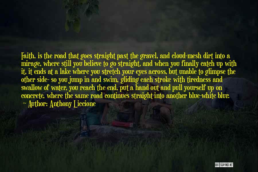 Gliding Quotes By Anthony Liccione