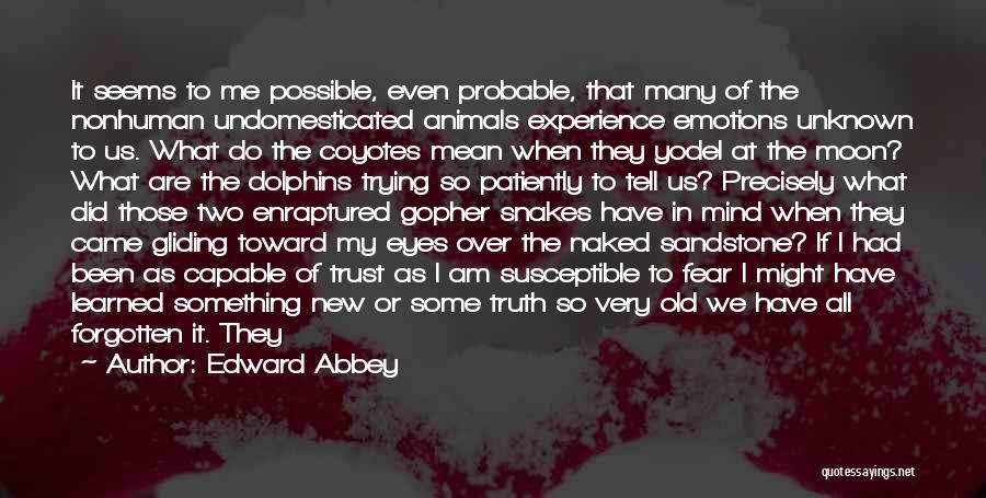 Gliding Quotes By Edward Abbey