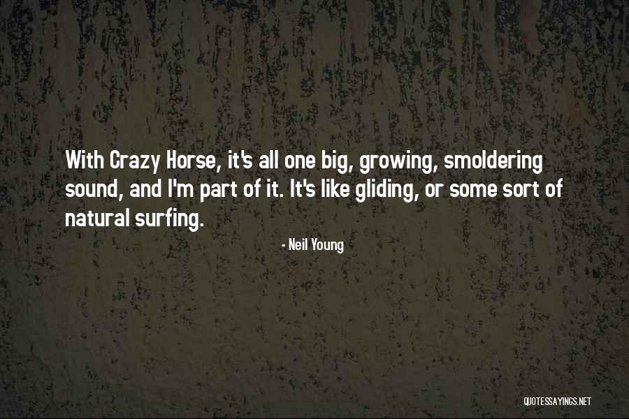 Gliding Quotes By Neil Young