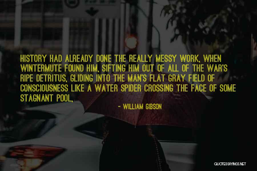 Gliding Quotes By William Gibson