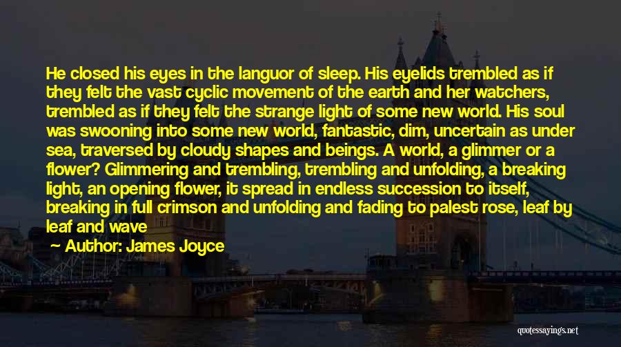 Glimmer Of Light Quotes By James Joyce