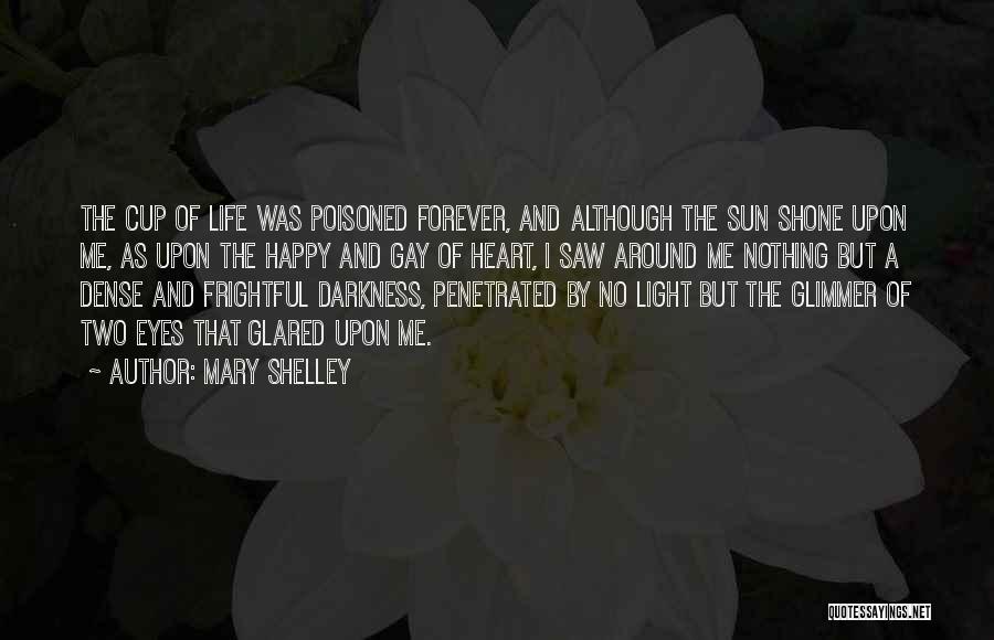 Glimmer Of Light Quotes By Mary Shelley