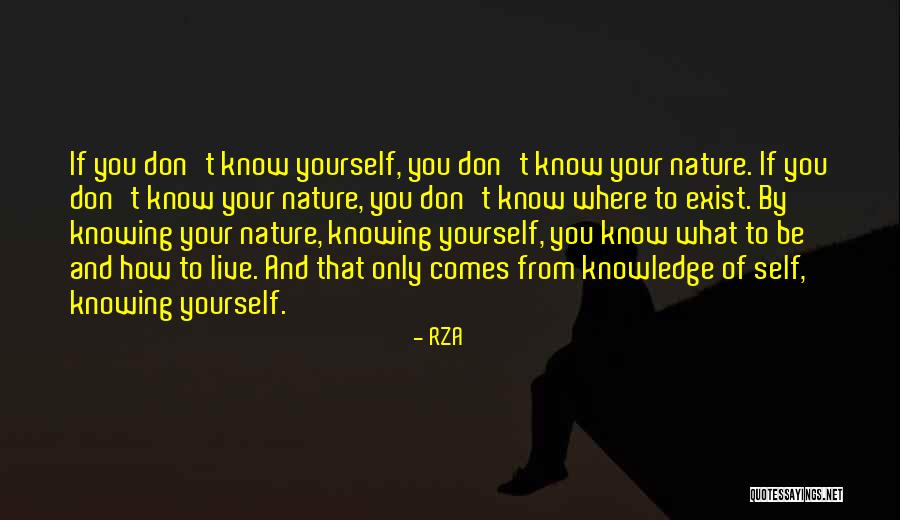 Glimpsed Thesaurus Quotes By RZA Glimpsed Thesaurus Quotes By RZA
