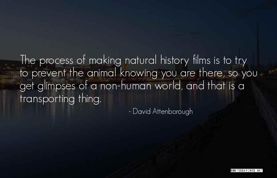 Glimpses Of World Quotes By David Attenborough Glimpses Of World Quotes By David Attenborough