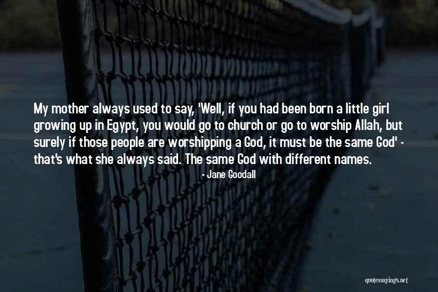 Glimt Diamond Quotes By Jane Goodall Glimt Diamond Quotes By Jane Goodall