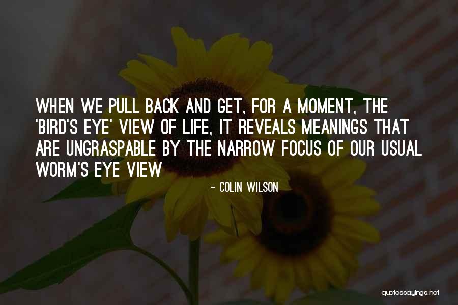 Glistened Pathfinder Quotes By Colin Wilson Glistened Pathfinder Quotes By Colin Wilson