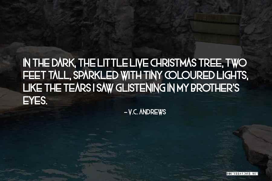 Glistening Eyes Quotes By V.C. Andrews