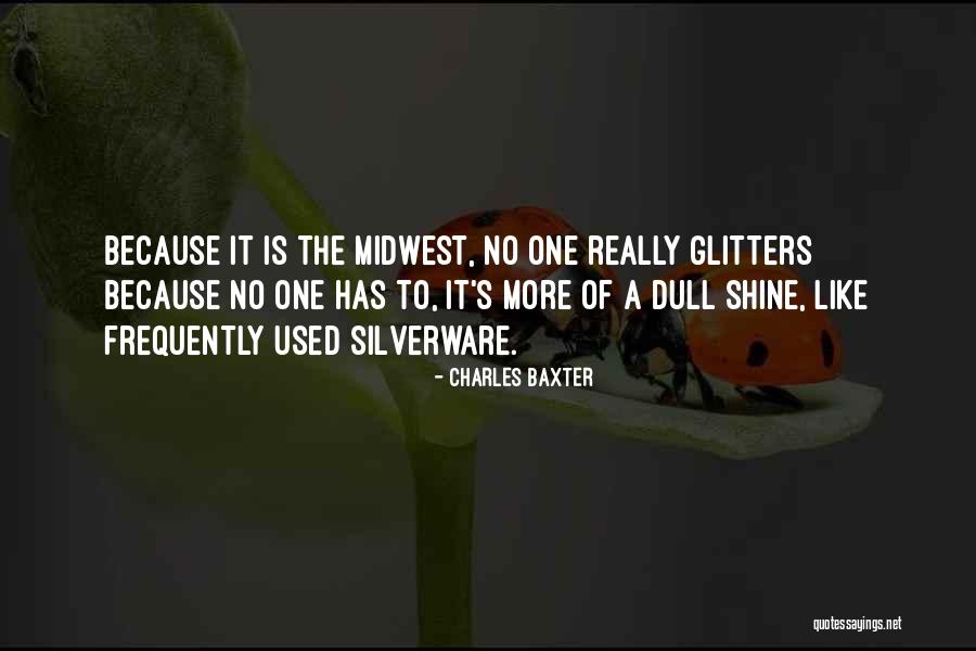 Glitters Quotes By Charles Baxter