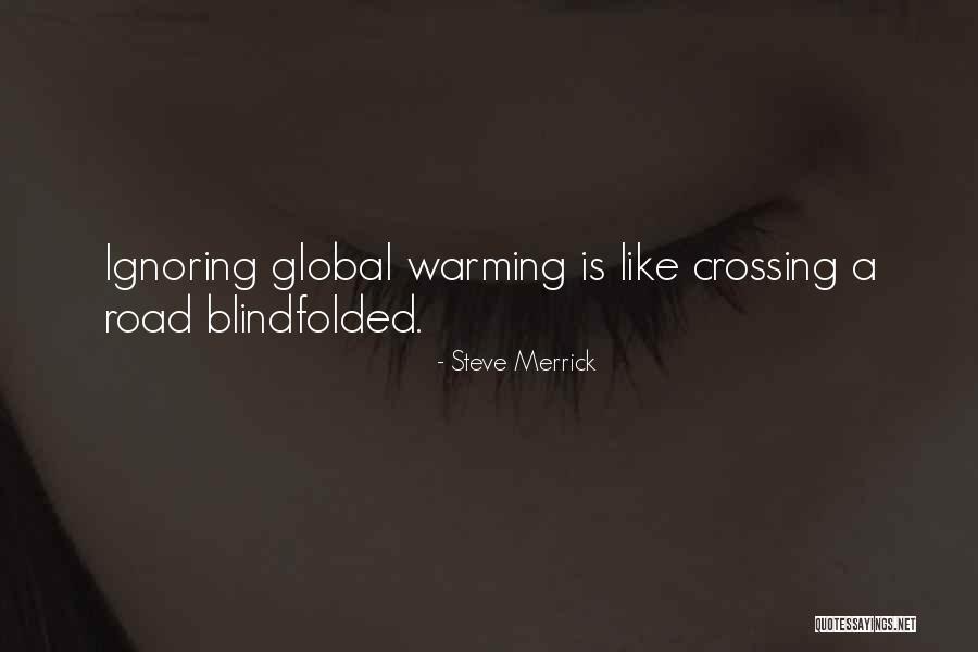 Global Change Quotes By Steve Merrick