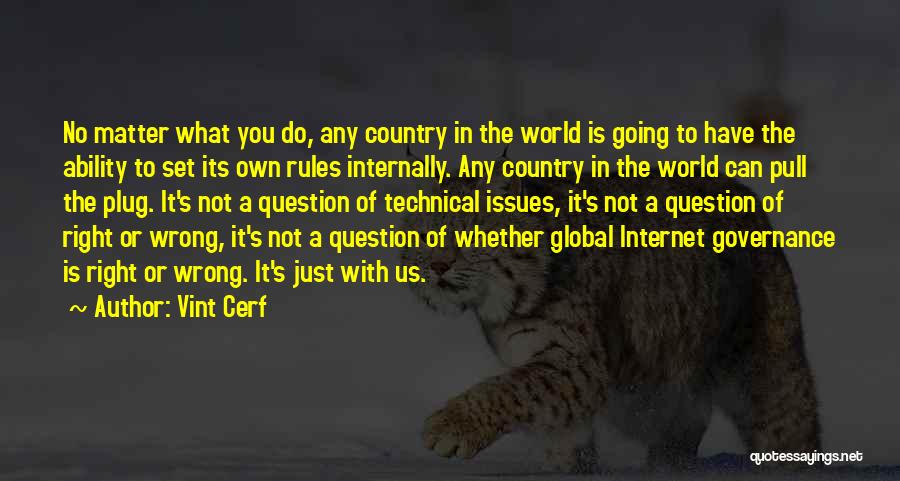Global Governance Quotes By Vint Cerf