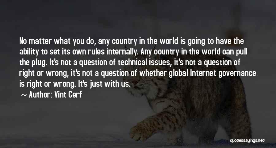 Global Issues Quotes By Vint Cerf