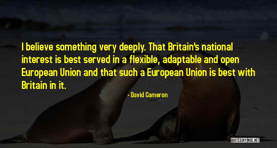 Glogovac Medicine Quotes By David Cameron