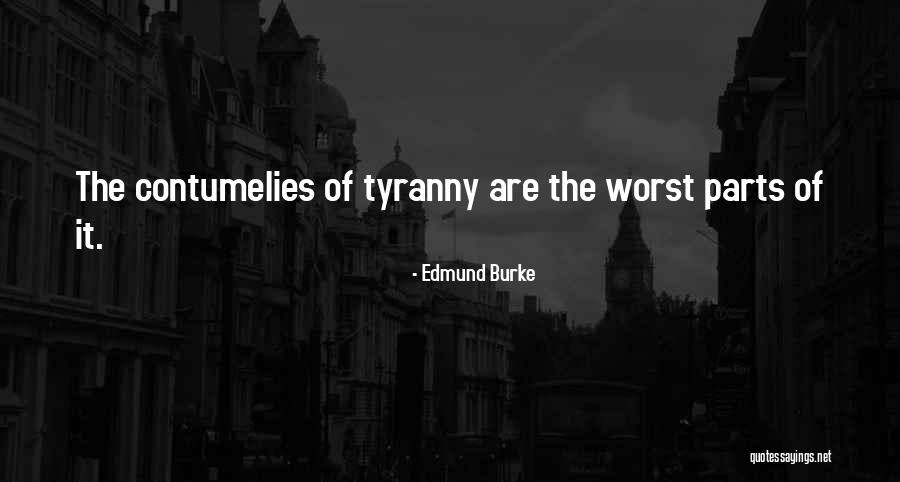 Glogovac Medicine Quotes By Edmund Burke