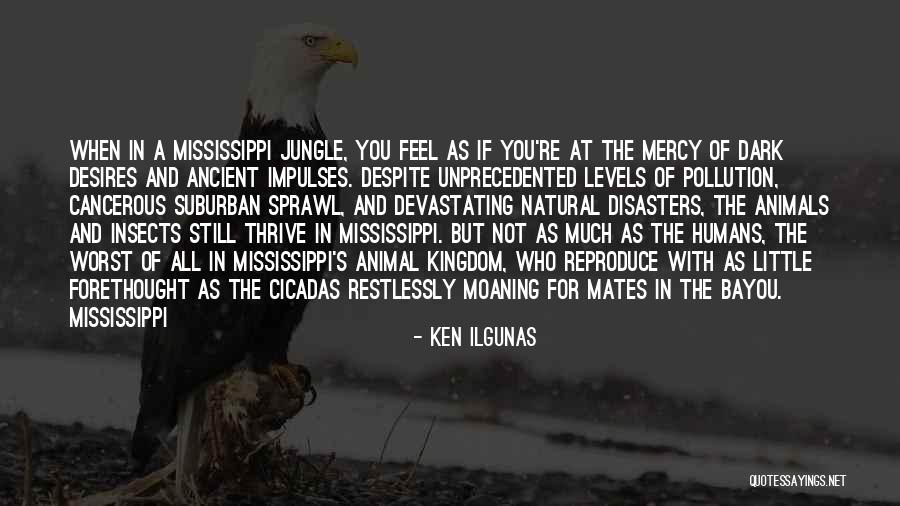 Glogovac Medicine Quotes By Ken Ilgunas