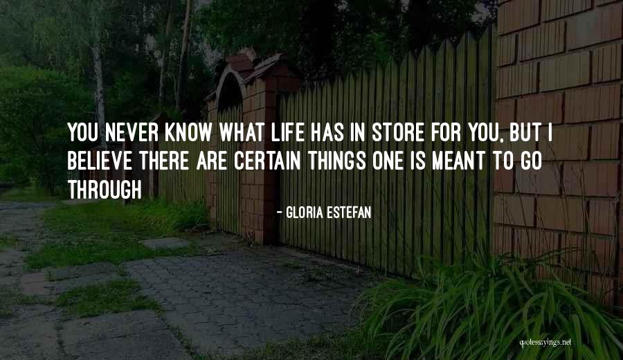 Gloria Estefan Quotes 1359079 Gloria Estefan Quotes 1359079