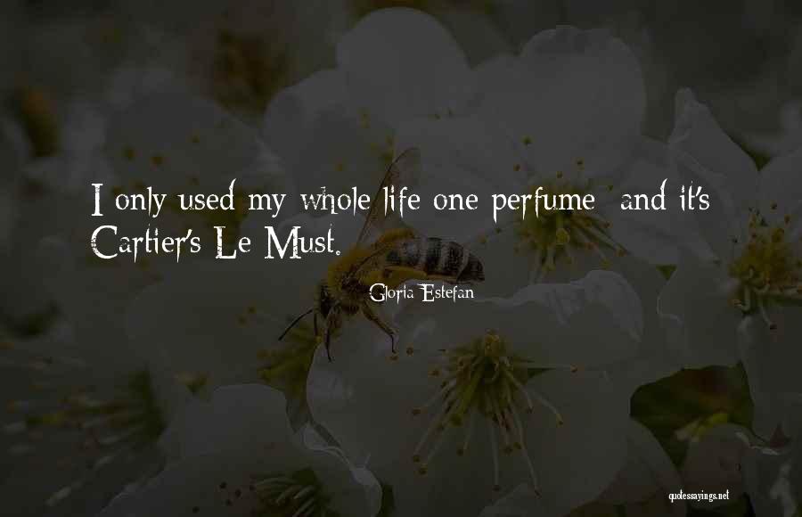Gloria Estefan Quotes 2163657