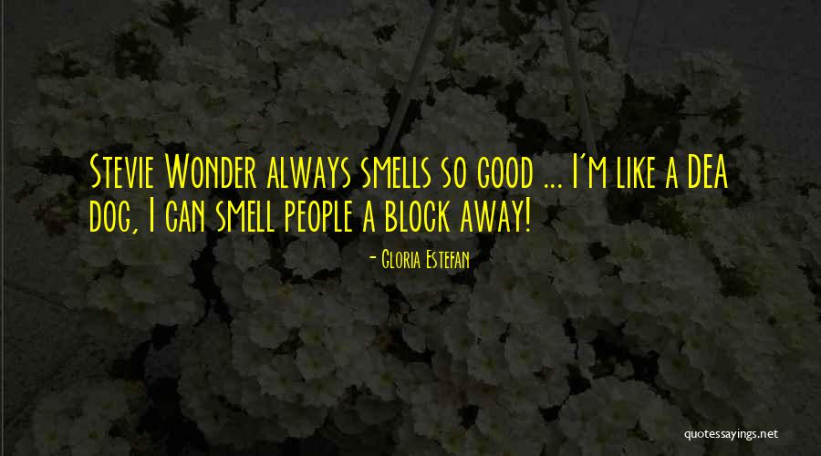 Gloria Estefan Quotes 714890 Gloria Estefan Quotes 714890