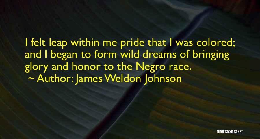 Glory And Pride Quotes By James Weldon Johnson
