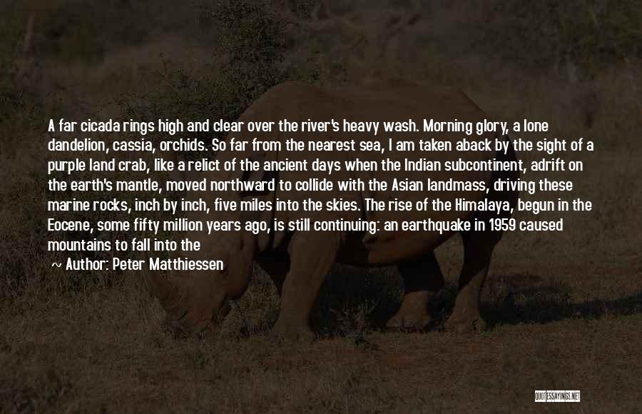 Glory Days Quotes By Peter Matthiessen