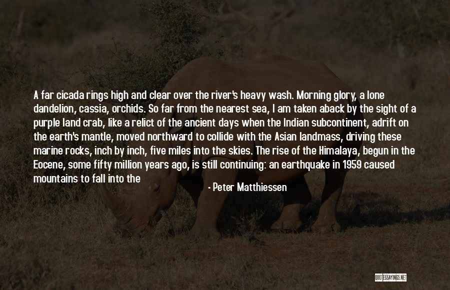 Glory Days Quotes By Peter Matthiessen Glory Days Quotes By Peter Matthiessen