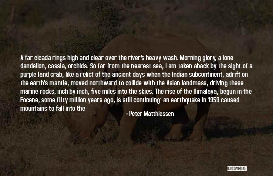 Glory Days Quotes By Peter Matthiessen