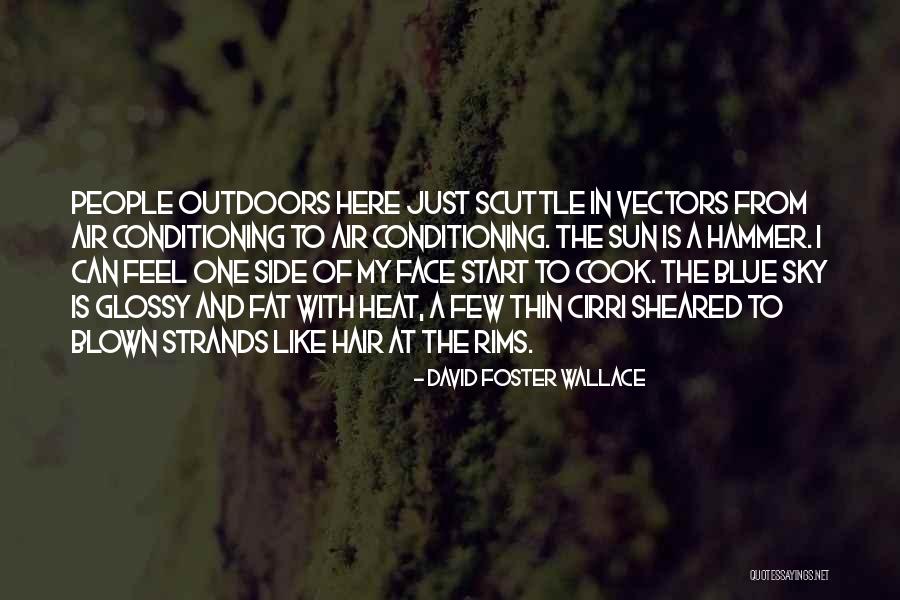 Glossy Hair Quotes By David Foster Wallace Glossy Hair Quotes By David Foster Wallace