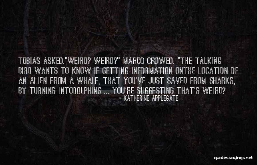 Glottal Replacement Quotes By Katherine Applegate Glottal Replacement Quotes By Katherine Applegate