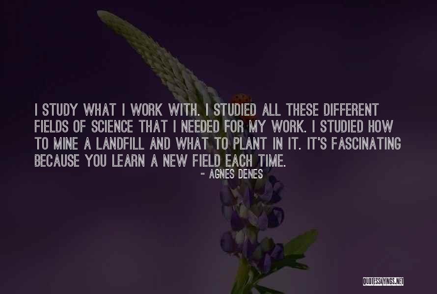Gloucestershire Old Quotes By Agnes Denes Gloucestershire Old Quotes By Agnes Denes