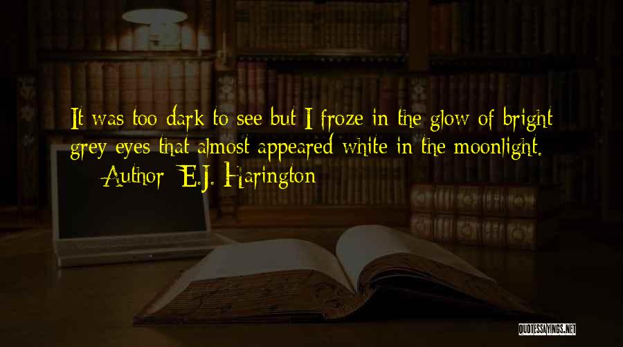 Glow In The Dark Quotes By E.J. Harington