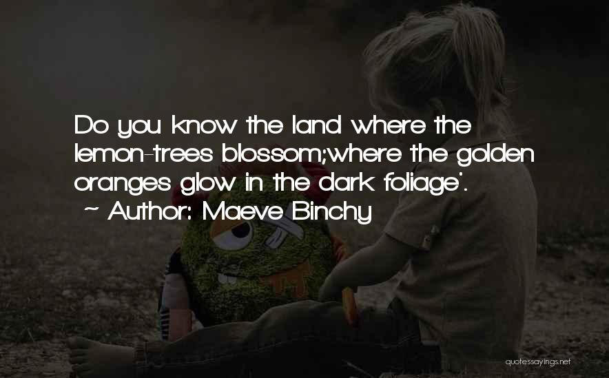 Glow In The Dark Quotes By Maeve Binchy