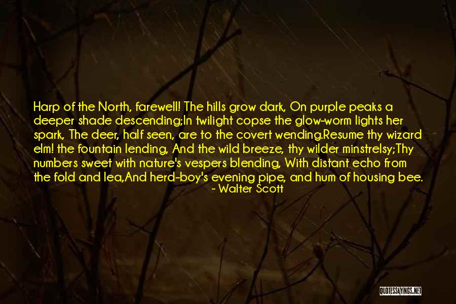Glow Lights Quotes By Walter Scott Glow Lights Quotes By Walter Scott
