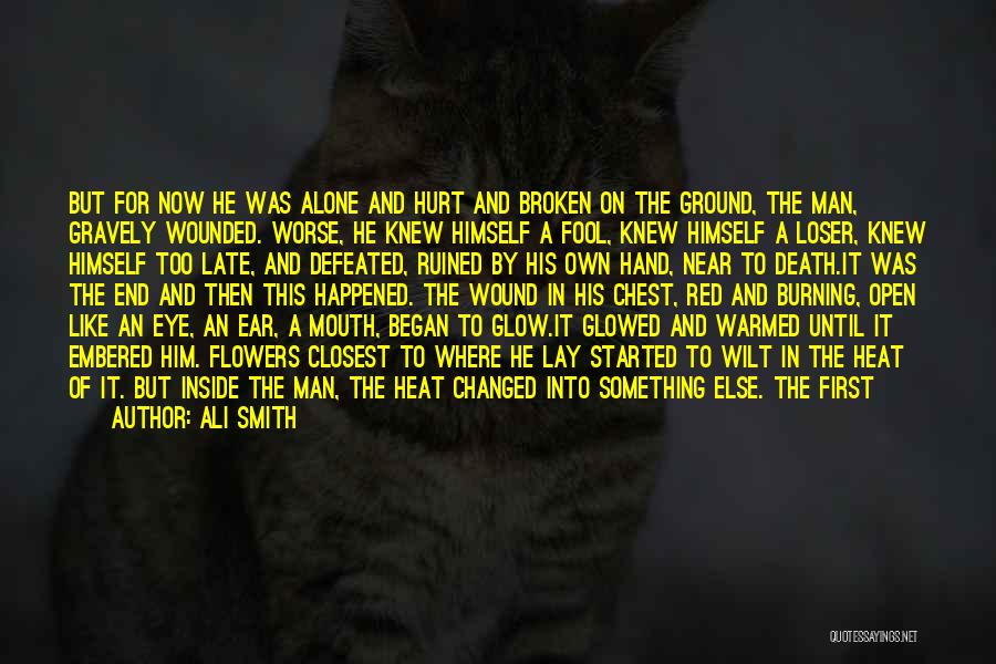 Glow Quotes By Ali Smith