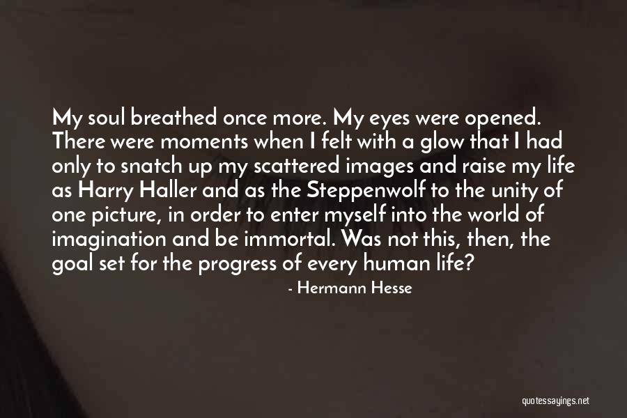 Glow Up Quotes By Hermann Hesse