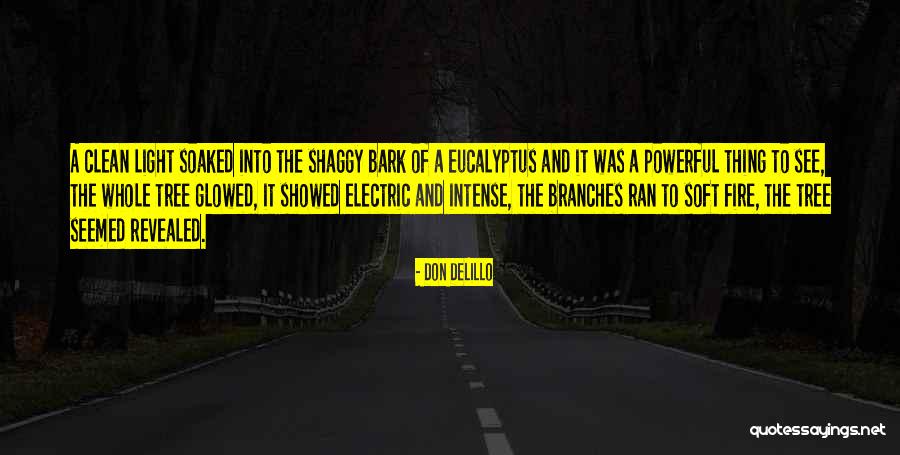 Glowed Light Quotes By Don DeLillo Glowed Light Quotes By Don DeLillo