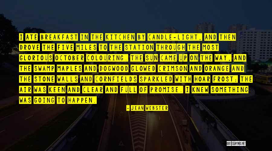 Glowed Light Quotes By Jean Webster Glowed Light Quotes By Jean Webster