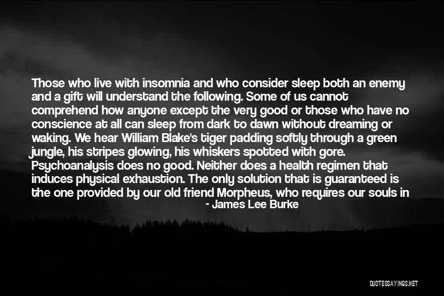 Glowing Souls Quotes By James Lee Burke Glowing Souls Quotes By James Lee Burke