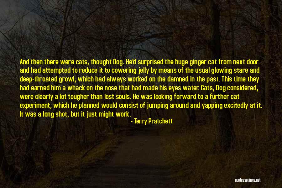 Glowing Souls Quotes By Terry Pratchett Glowing Souls Quotes By Terry Pratchett