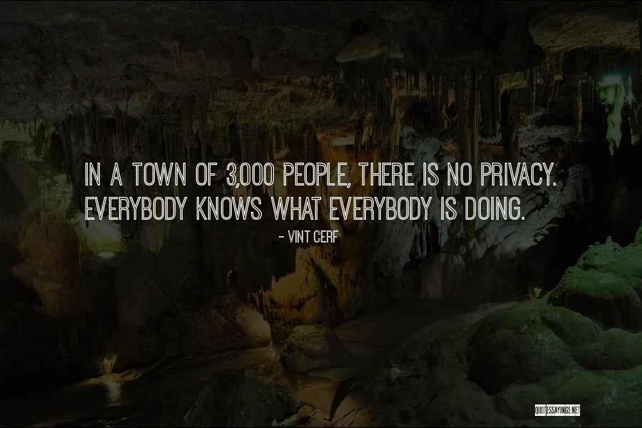 Glowlight Danios Quotes By Vint Cerf Glowlight Danios Quotes By Vint Cerf
