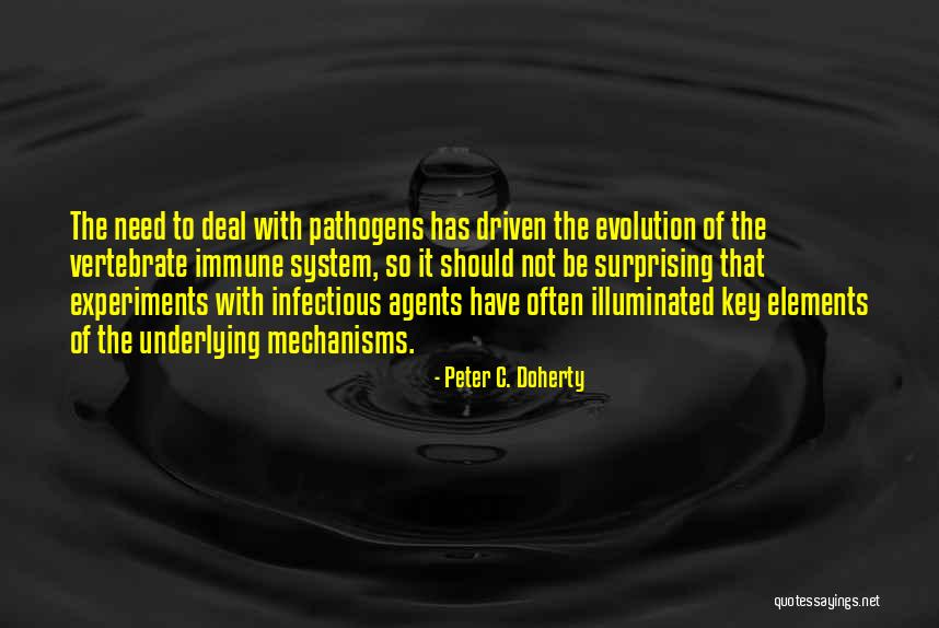 Gluckman Pet Quotes By Peter C. Doherty Gluckman Pet Quotes By Peter C. Doherty