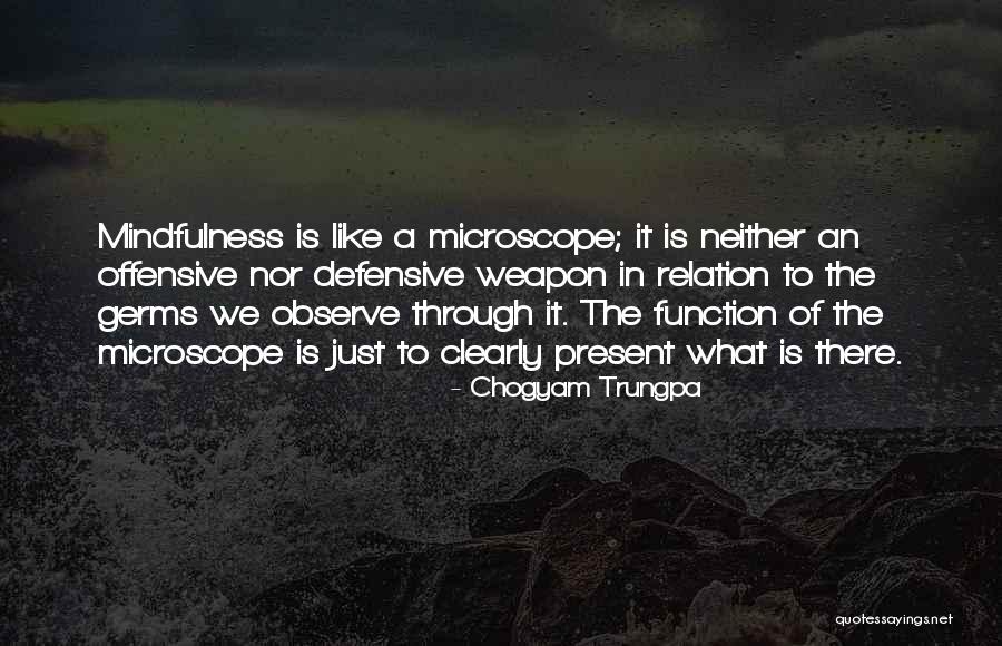 Glykosaminoglykane Quotes By Chogyam Trungpa Glykosaminoglykane Quotes By Chogyam Trungpa