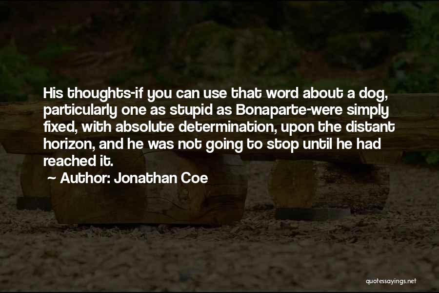 Glynna Grimala Quotes By Jonathan Coe