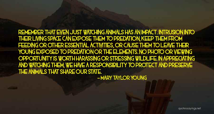 Glyzinie Lila Quotes By Mary Taylor Young Glyzinie Lila Quotes By Mary Taylor Young