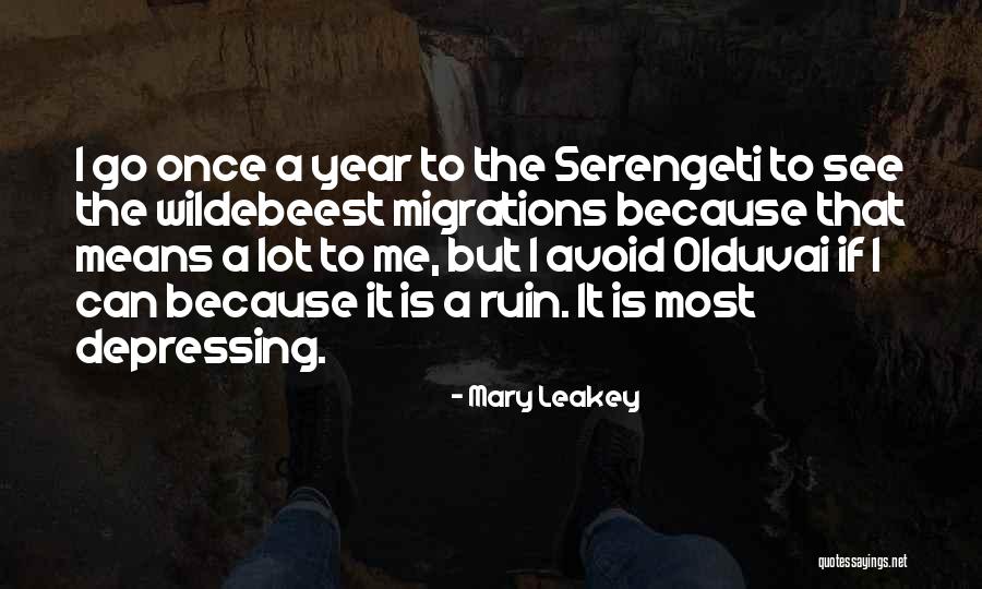 Gm Syed Quotes By Mary Leakey Gm Syed Quotes By Mary Leakey