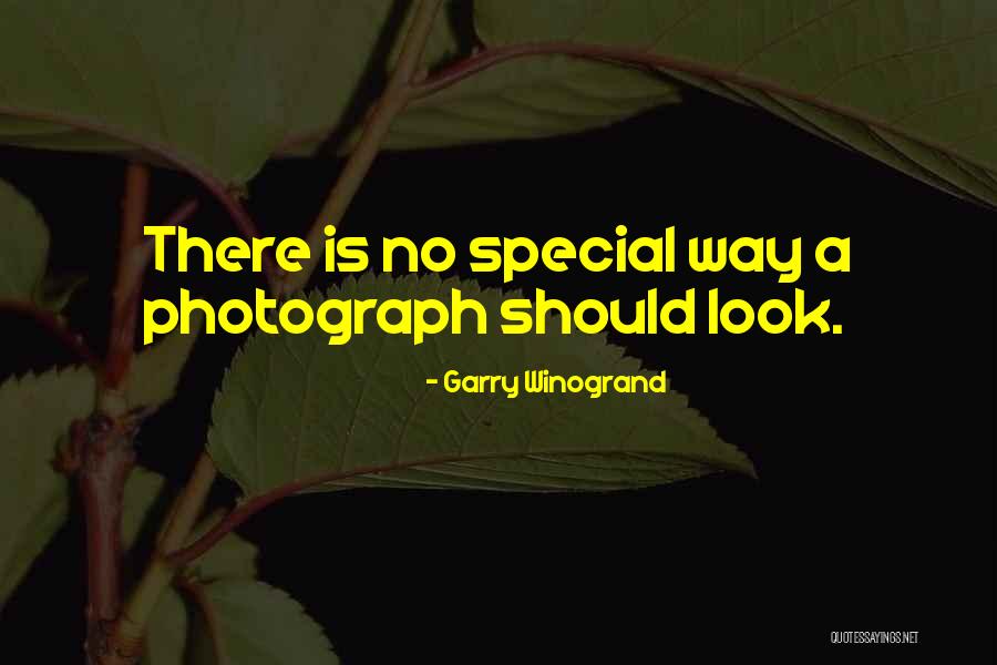 Gmorning Gnight Quotes By Garry Winogrand Gmorning Gnight Quotes By Garry Winogrand