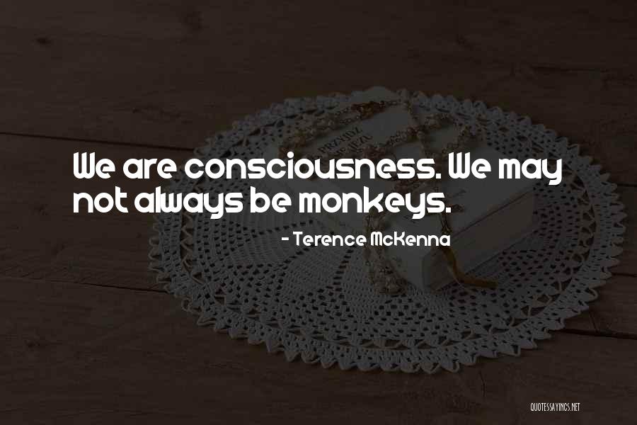 Gnapp Studios Quotes By Terence McKenna Gnapp Studios Quotes By Terence McKenna