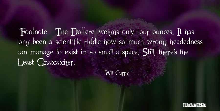 Gnatcatcher Quotes By Will Cuppy Gnatcatcher Quotes By Will Cuppy