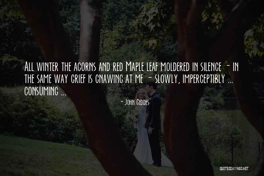 Gnawing Quotes By John Geddes