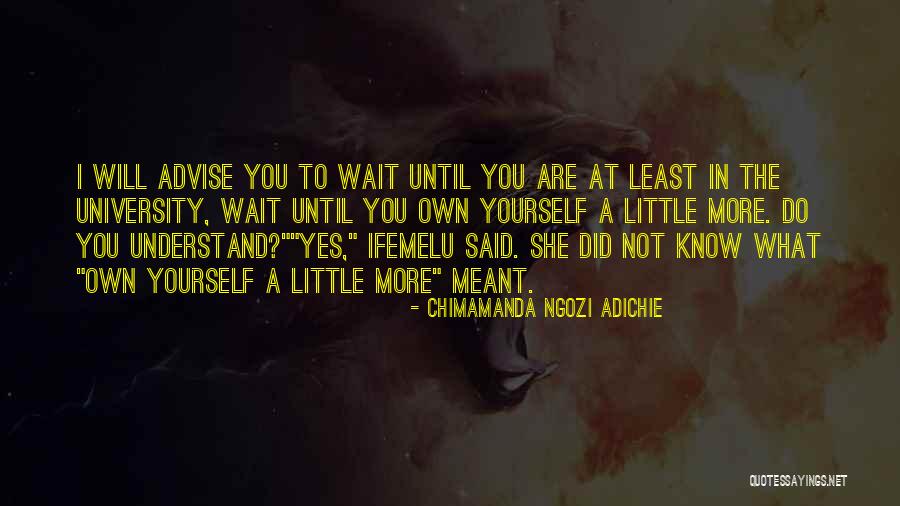Gnel Sedrakyan Quotes By Chimamanda Ngozi Adichie