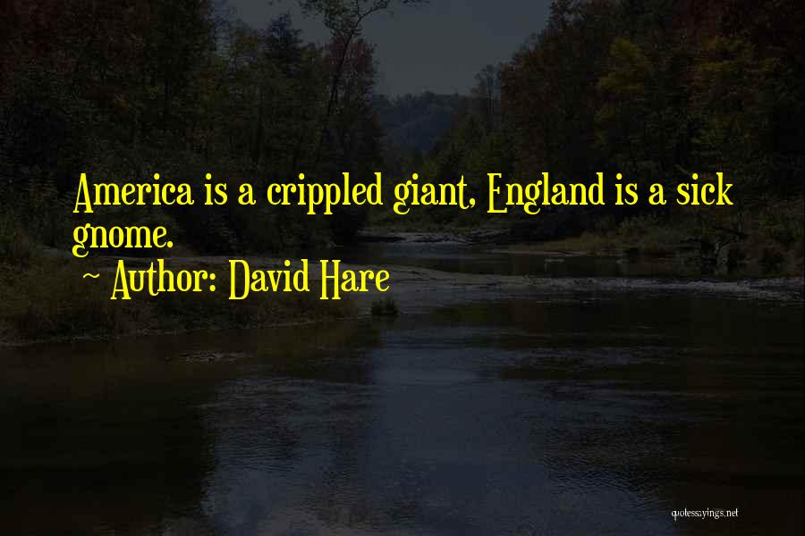 Gnome Quotes By David Hare